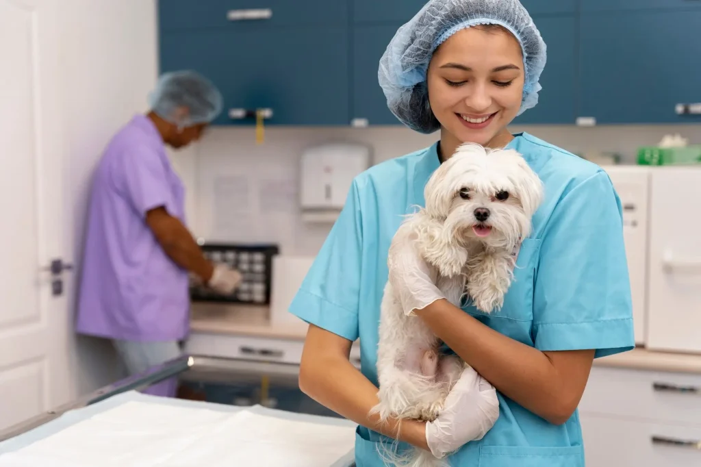 veterinary with dog